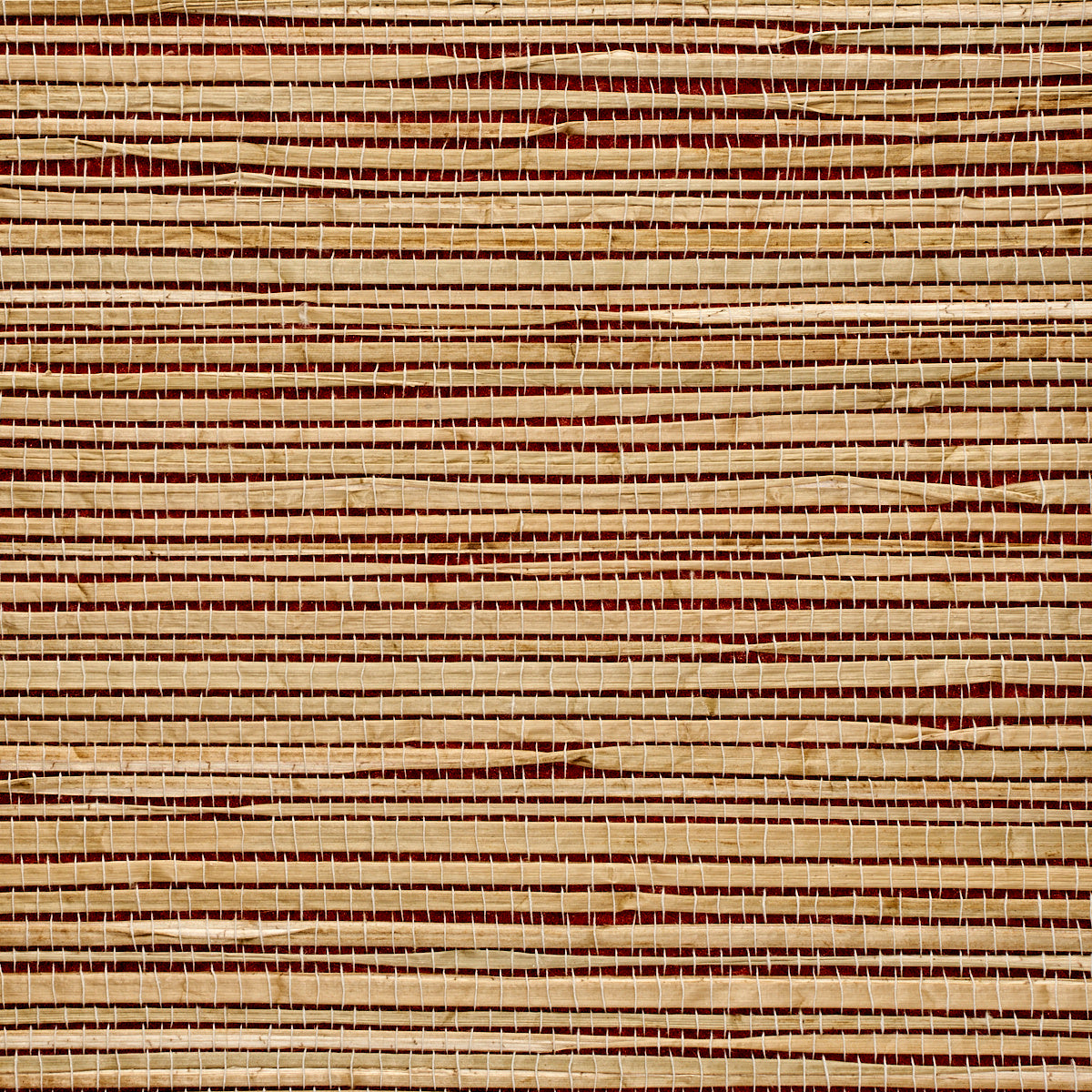 Purchase 3371 Grass Roots Reka's Red Phillip Jeffries Wallpaper
