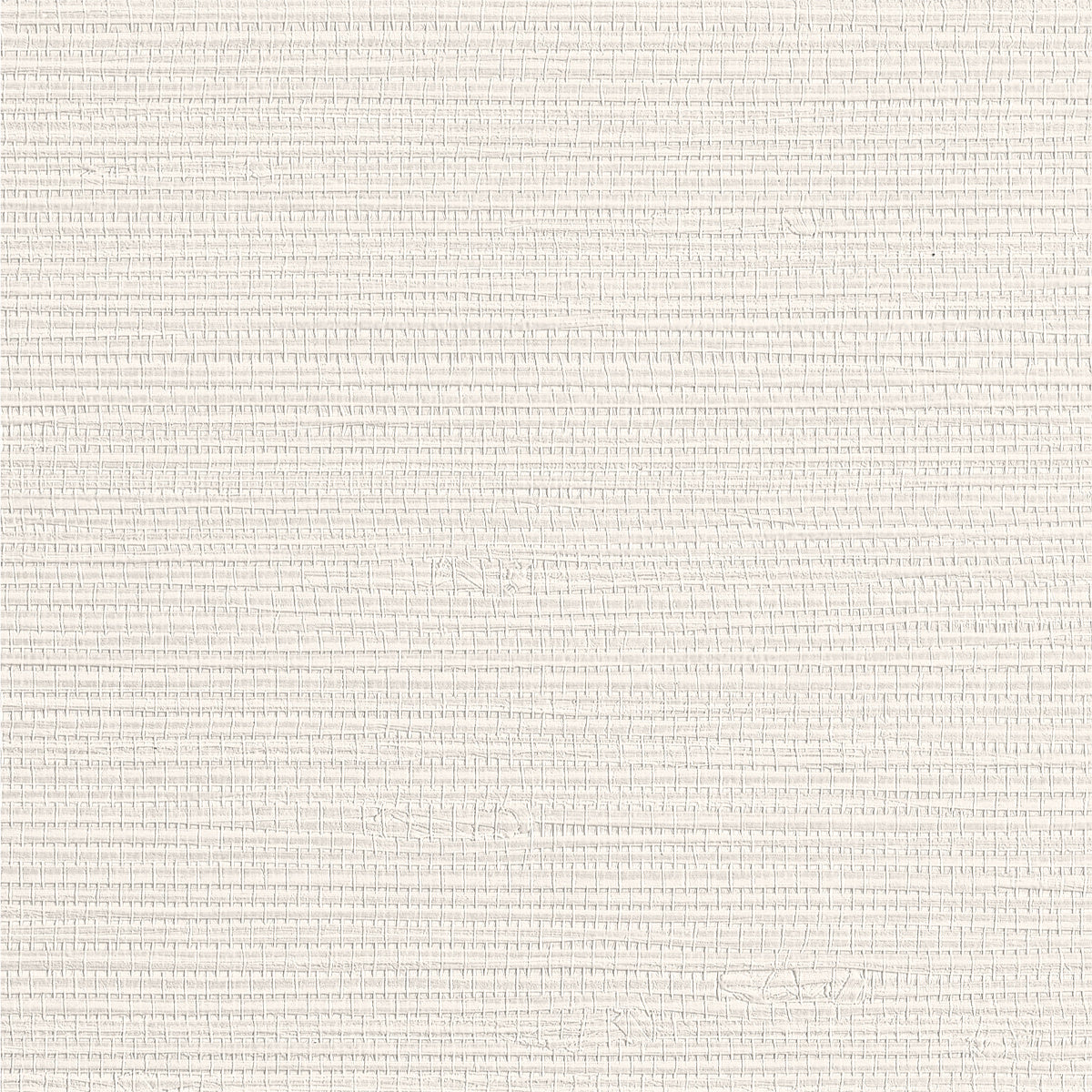 Purchase Phillip Jeffries Wallpaper - 10441, Vinyl Sisal - Winter Birch 