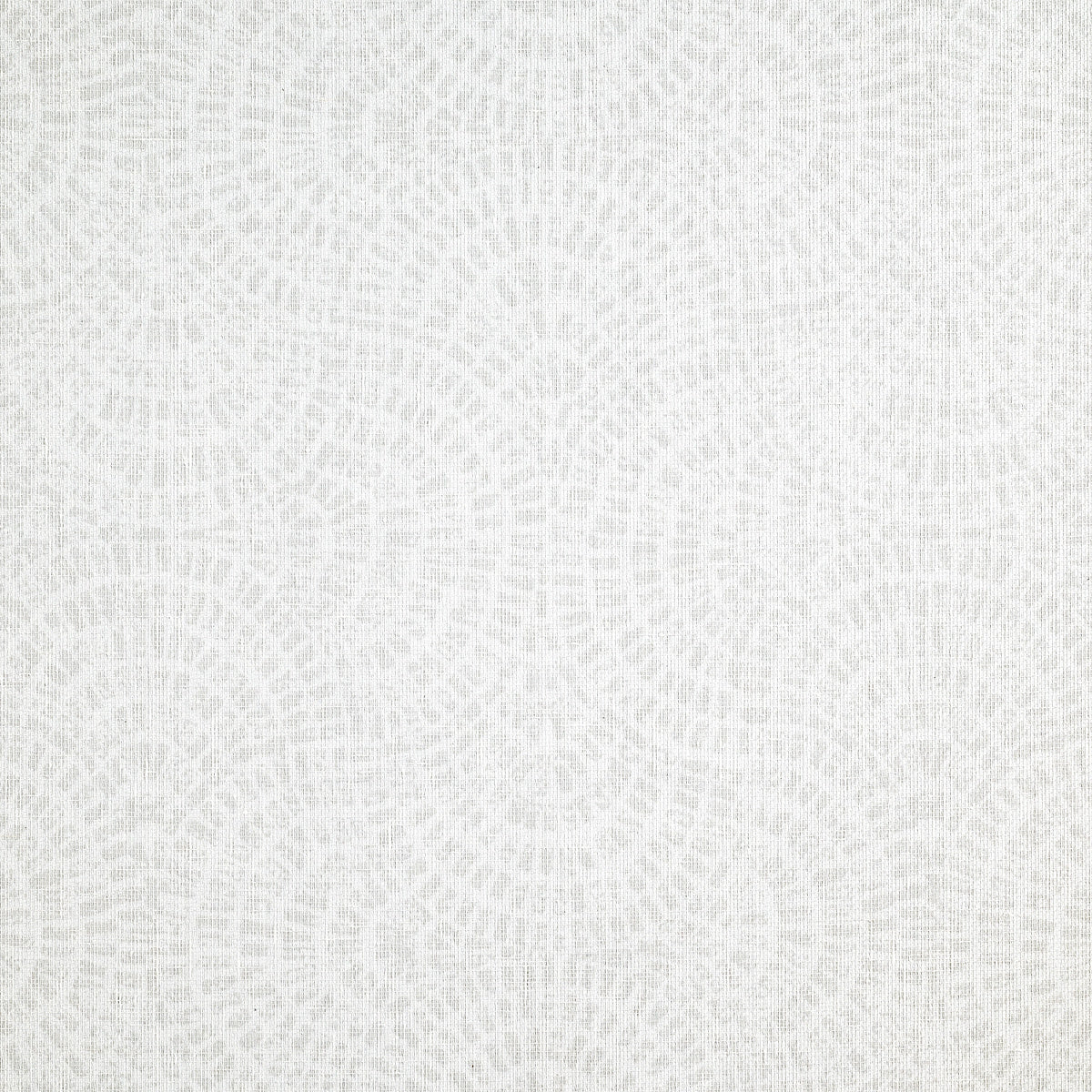 Purchase Phillip Jeffries Wallpaper - 10376, Fanfare - Sand Drift 