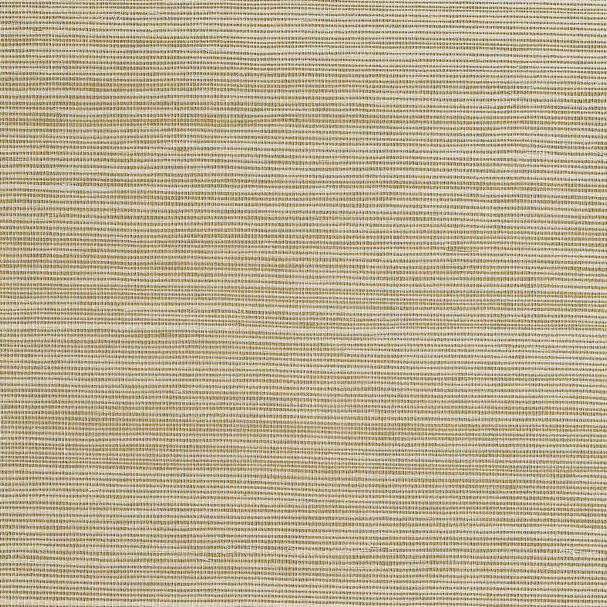 Purchase 5254 Bermuda Hemp Ecru Phillip Jeffries Wallpaper