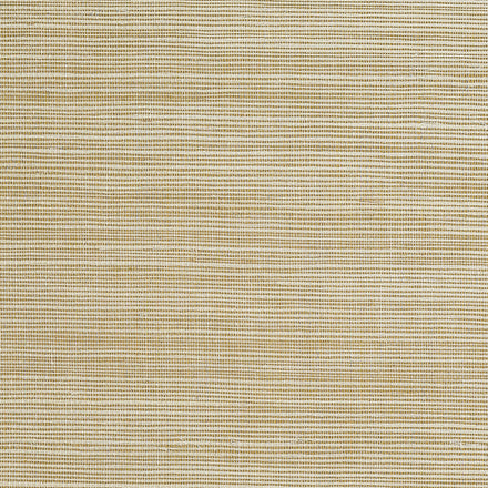 5254 | Bermuda Hemp, Ecru - Phillip Jeffries Wallpaper