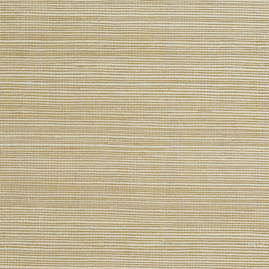 Purchase 5254 Bermuda Hemp Ecru Phillip Jeffries Wallpaper