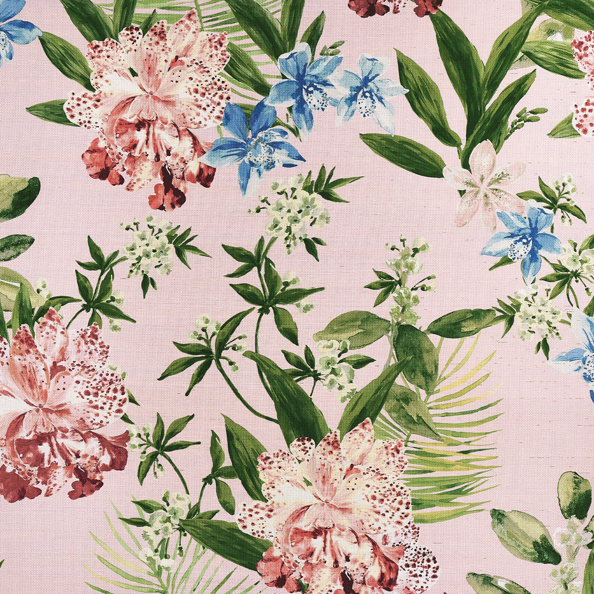 Purchase Phillip Jeffries Wallpaper - 10557, Aloha Orchids - Spicy Mojito 
