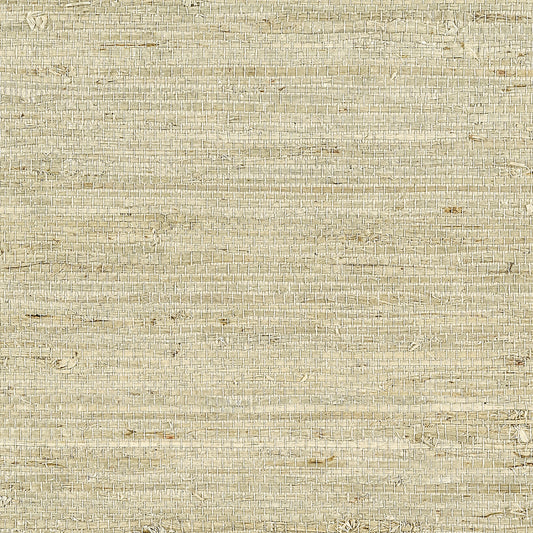 Purchase Phillip Jeffries Wallpaper - 10808, Extra Fine Arrowroot - Natural 