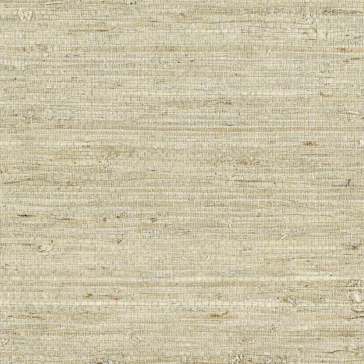 Purchase Phillip Jeffries Wallpaper - 10808, Extra Fine Arrowroot - Natural 