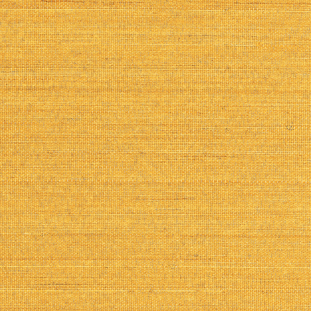 Purchase 1100 Tailored Walls Abaca Harvest Ochre Flower Phillip Jeffries Wallpaper