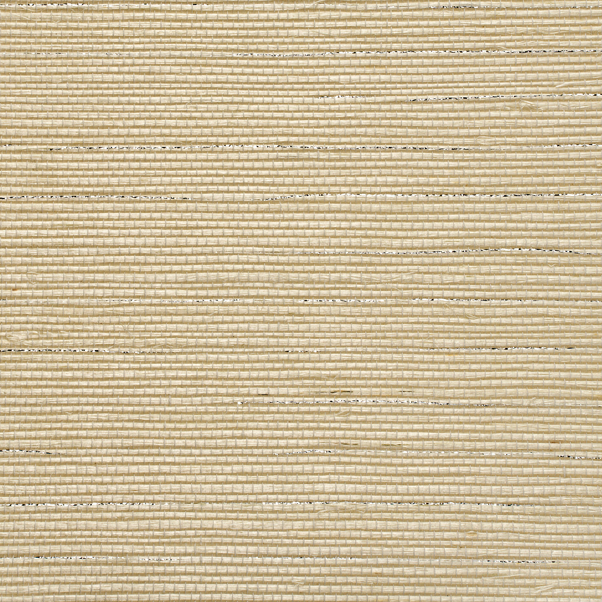 Purchase 5207 Glam Grass Tahitian Pearl Phillip Jeffries Wallpaper