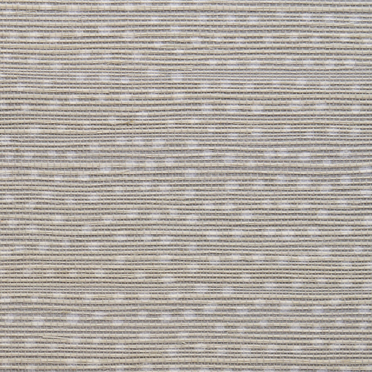 Purchase Phillip Jeffries Wallpaper - 10009, Droplets - Taupe With White 