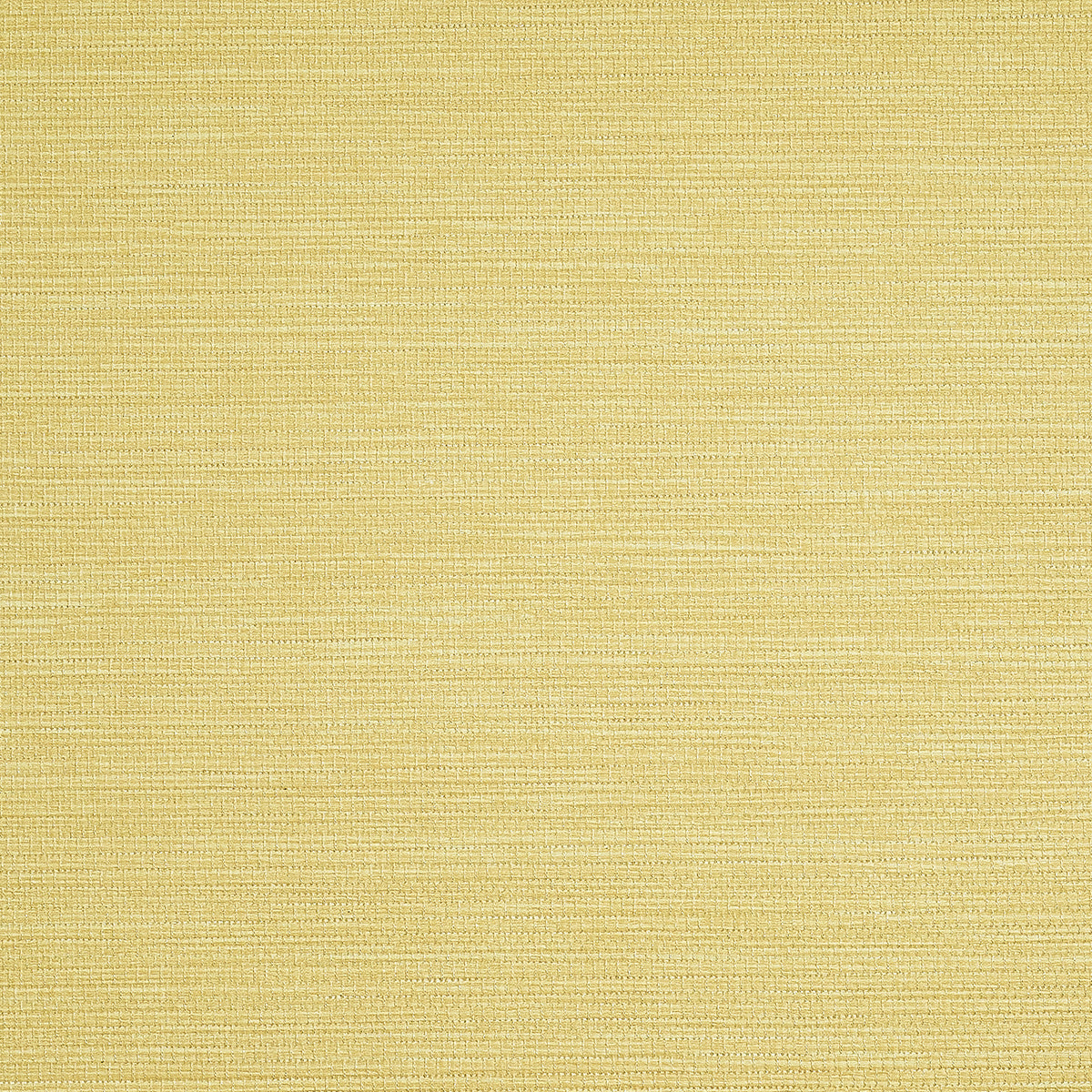 Purchase Phillip Jeffries Wallpaper - 9733, Pj Color Splash ™ - Taffy 