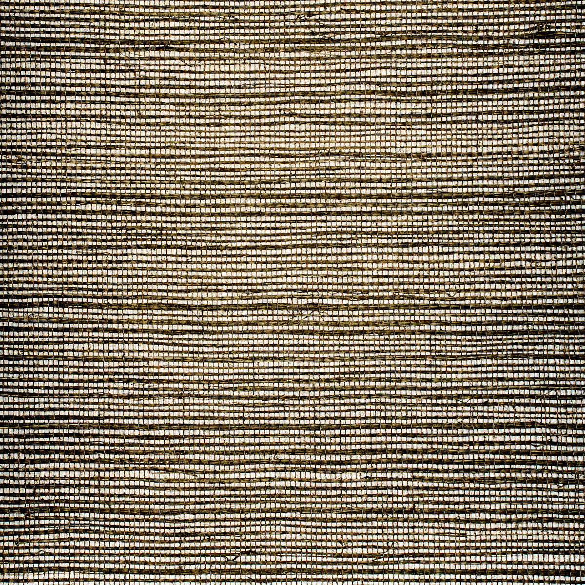 Purchase 1941 Glam Grass II Cosmopolitan Grey Phillip Jeffries Wallpaper