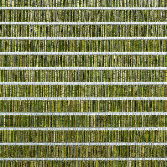Purchase 1983 Totally Tatami Soft Rush Green Grasscloth by Phillip Jeffries Wallpaper