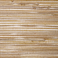 Purchase 2803 Shoreline Grass Citrus Spice Phillip Jeffries