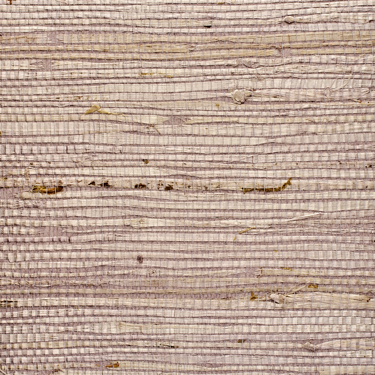Purchase 1968 Extra Fine Arrowroot Hyacinth Phillip Jeffries Wallpaper