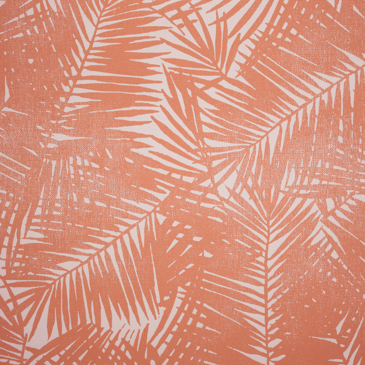 Purchase 7156 Ellies View Coral On White Paperweave Phillip Jeffries Wallpaper