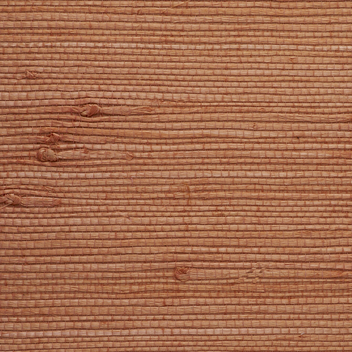 Purchase 9260 Juicy Jute III Florida Orange Phillip Jeffries Wallpaper