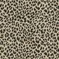 Purchase Phillip Jeffries Wallpaper - 26702, Wild Thing - Junes Jungle 