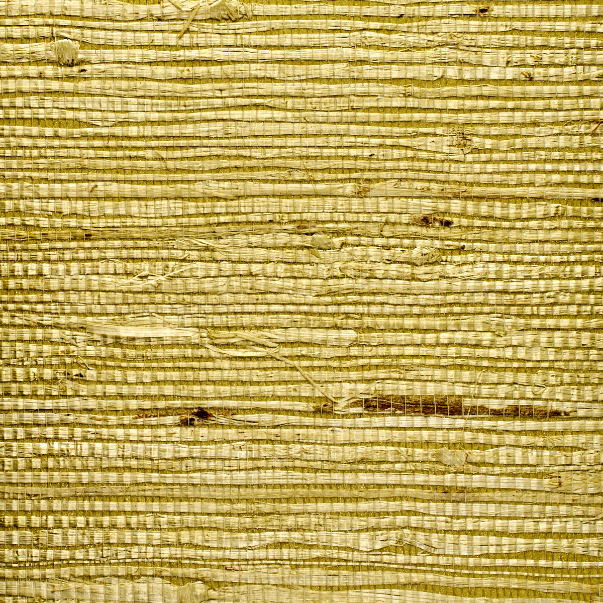 Purchase 1969 Extra Fine Arrowroot Lotus Phillip Jeffries Wallpaper