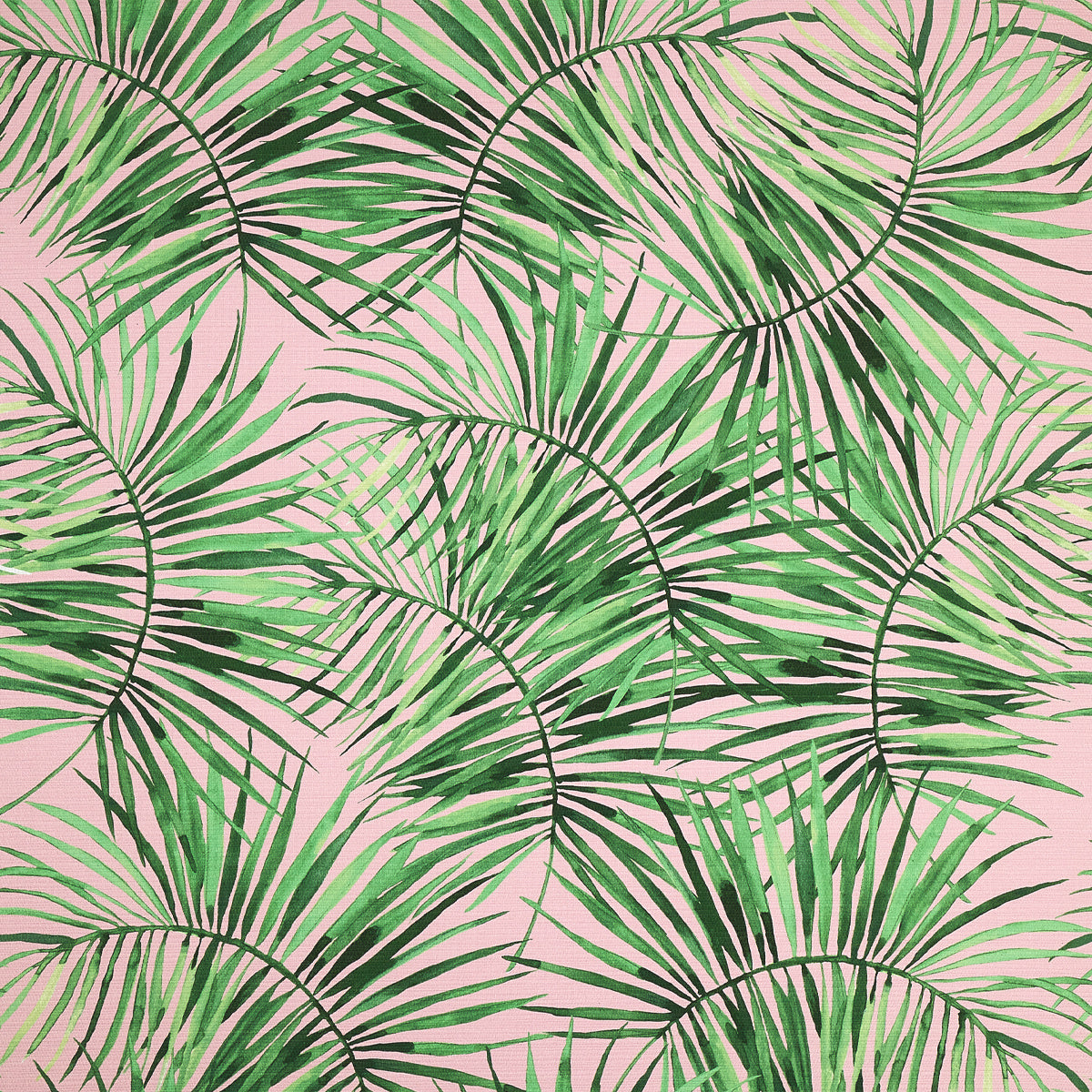 Purchase Phillip Jeffries Wallpaper - 10461, Island Time - Rosewater Retreat 