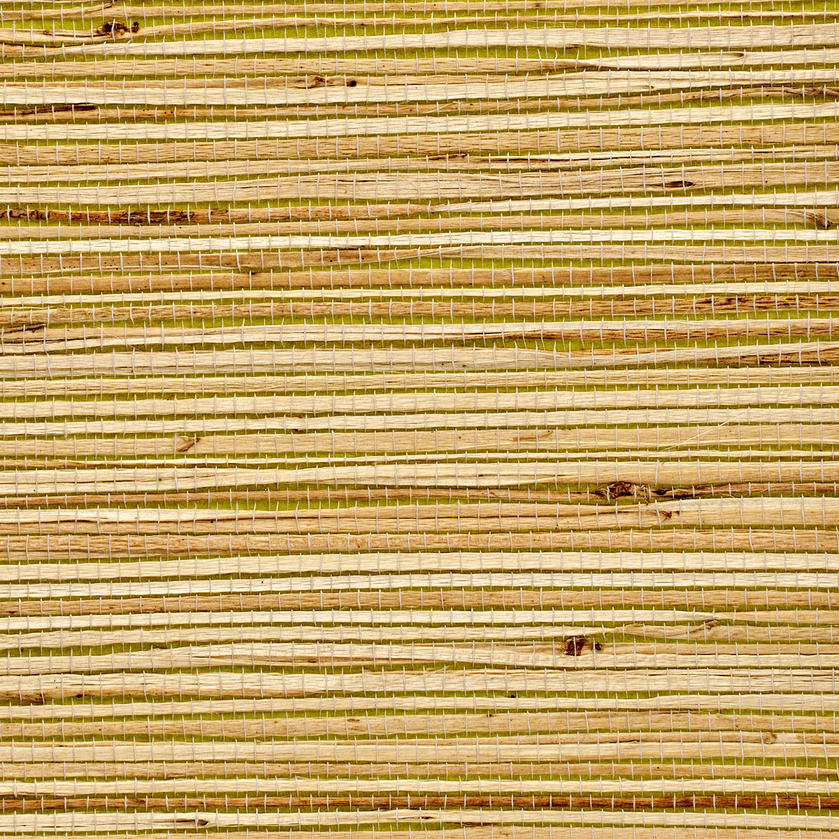 Purchase 3375 Grass Roots Livingston Lime Phillip Jeffries Wallpaper