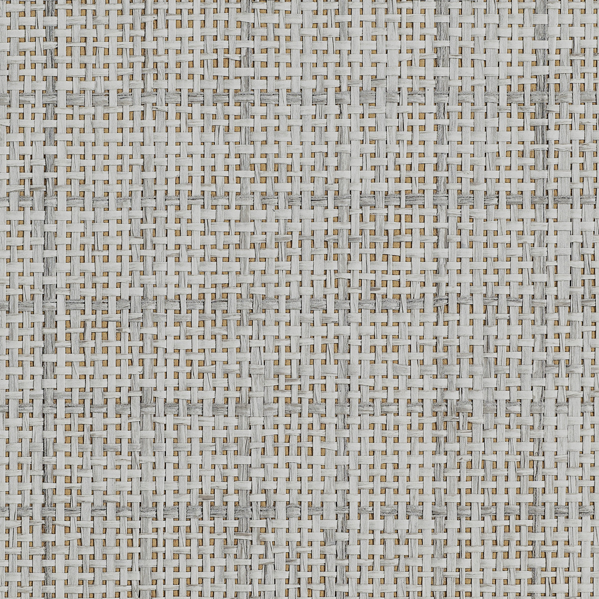 Purchase Phillip Jeffries Wallpaper - 10479, Graceful Grid - Earl Grey 
