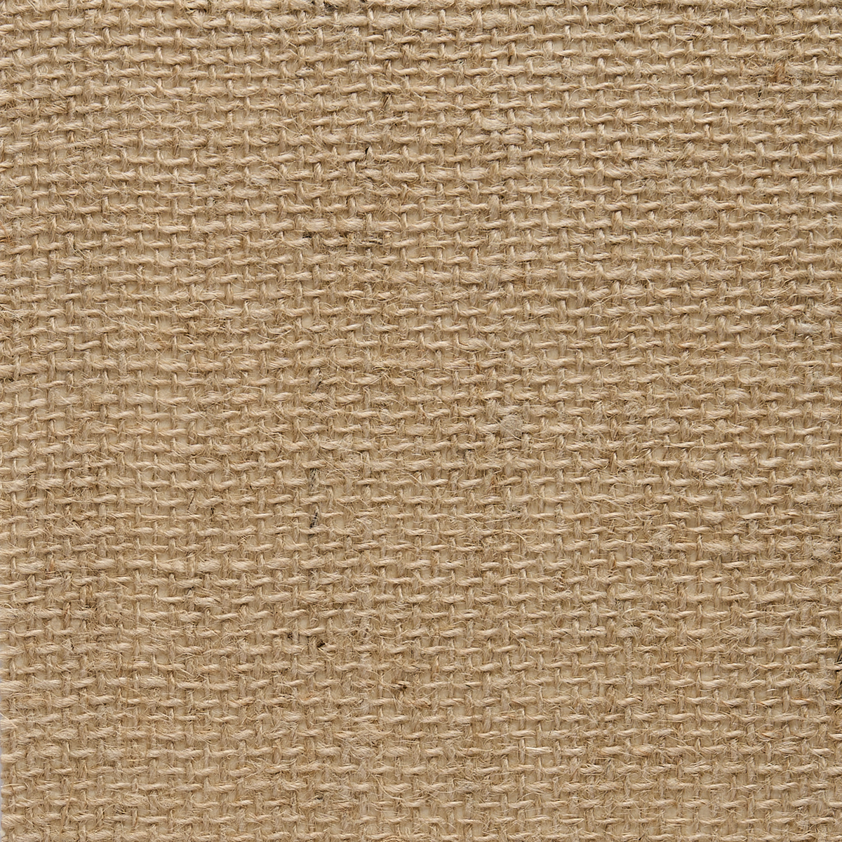 Purchase 079 Japanese Woven Jute Cream Phillip Jeffries