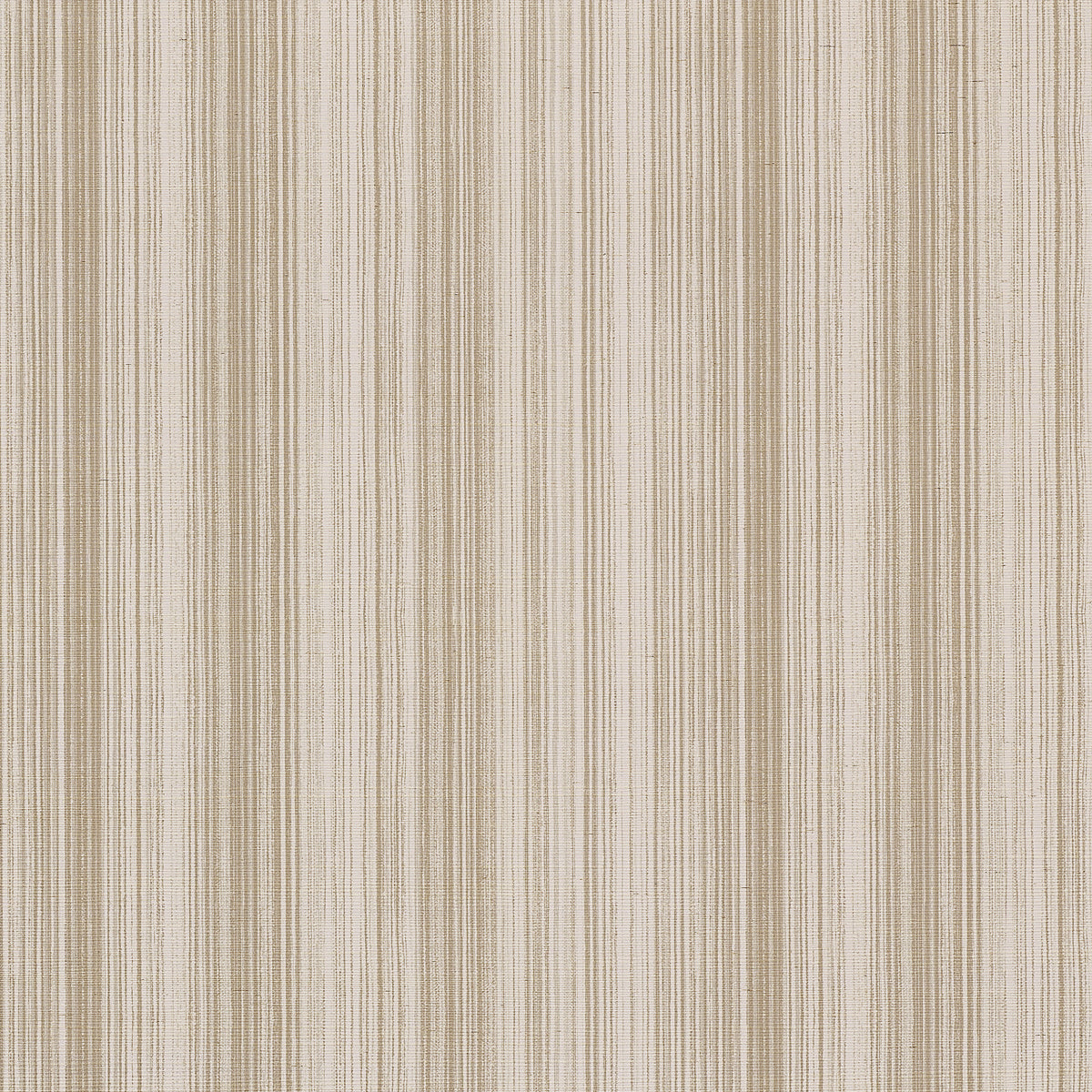 Purchase Phillip Jeffries Wallpaper - 31601, Chamberlain Stripe - Taupe 