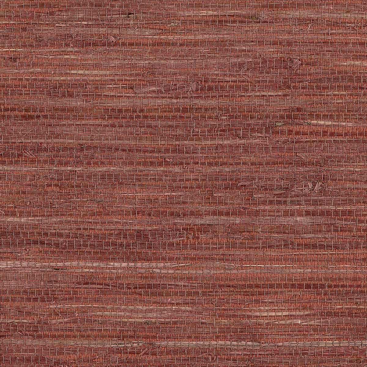 Purchase Phillip Jeffries Wallpaper - 10807, Extra Fine Arrowroot - Ember 