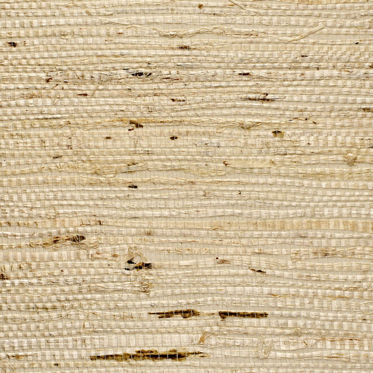 Purchase 071 Extra Fine Arrowroot Feather Phillip Jeffries