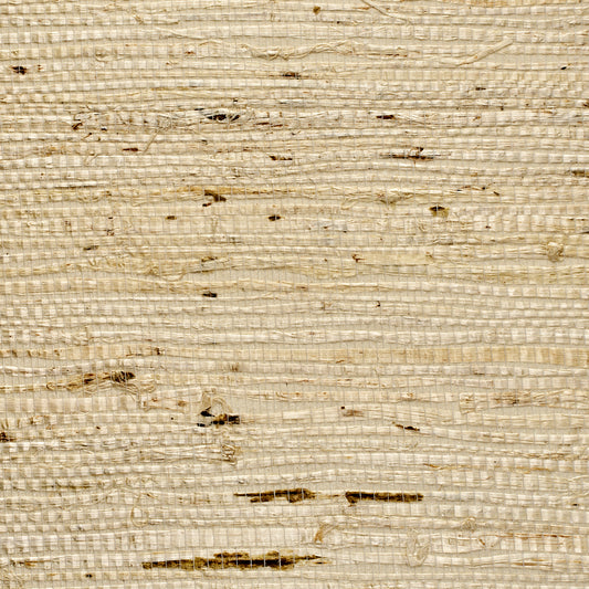 Purchase 071 Extra Fine Arrowroot Feather Phillip Jeffries