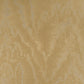 Purchase Phillip Jeffries Wallpaper - 25113, Vinyl Grand Moire - Golden 