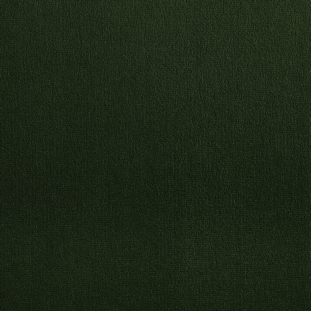 Purchase 4049 Velvet Cocoon Forest Green Phillip Jeffries Wallpaper