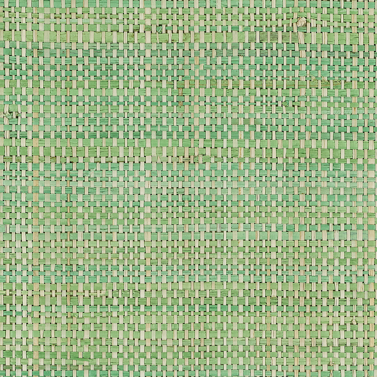 Purchase 3581 African Raffia Two Tone Green Phillip Jeffries Wallpaper