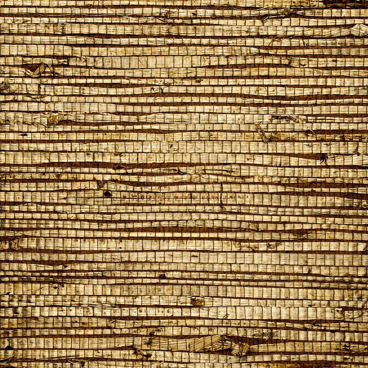 Purchase 1741 Extra Fine Arrowroot Olive Phillip Jeffries Wallpaper