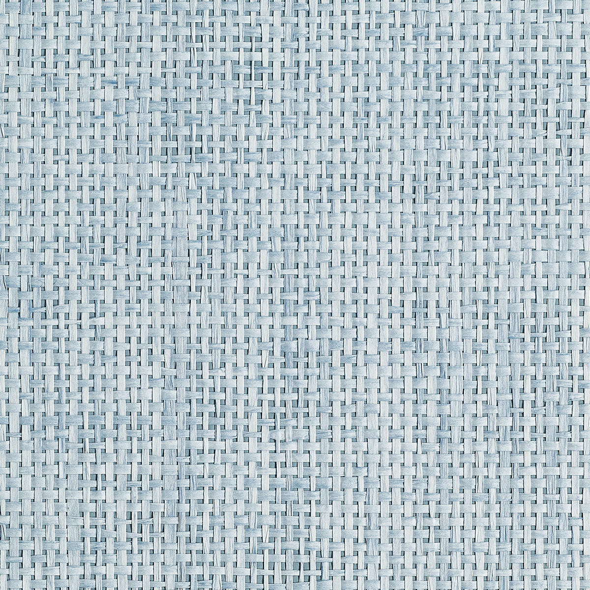 Purchase 1288 Fuji Weave Fresh Stream Grasscloth by Phillip Jeffries Wallpaper