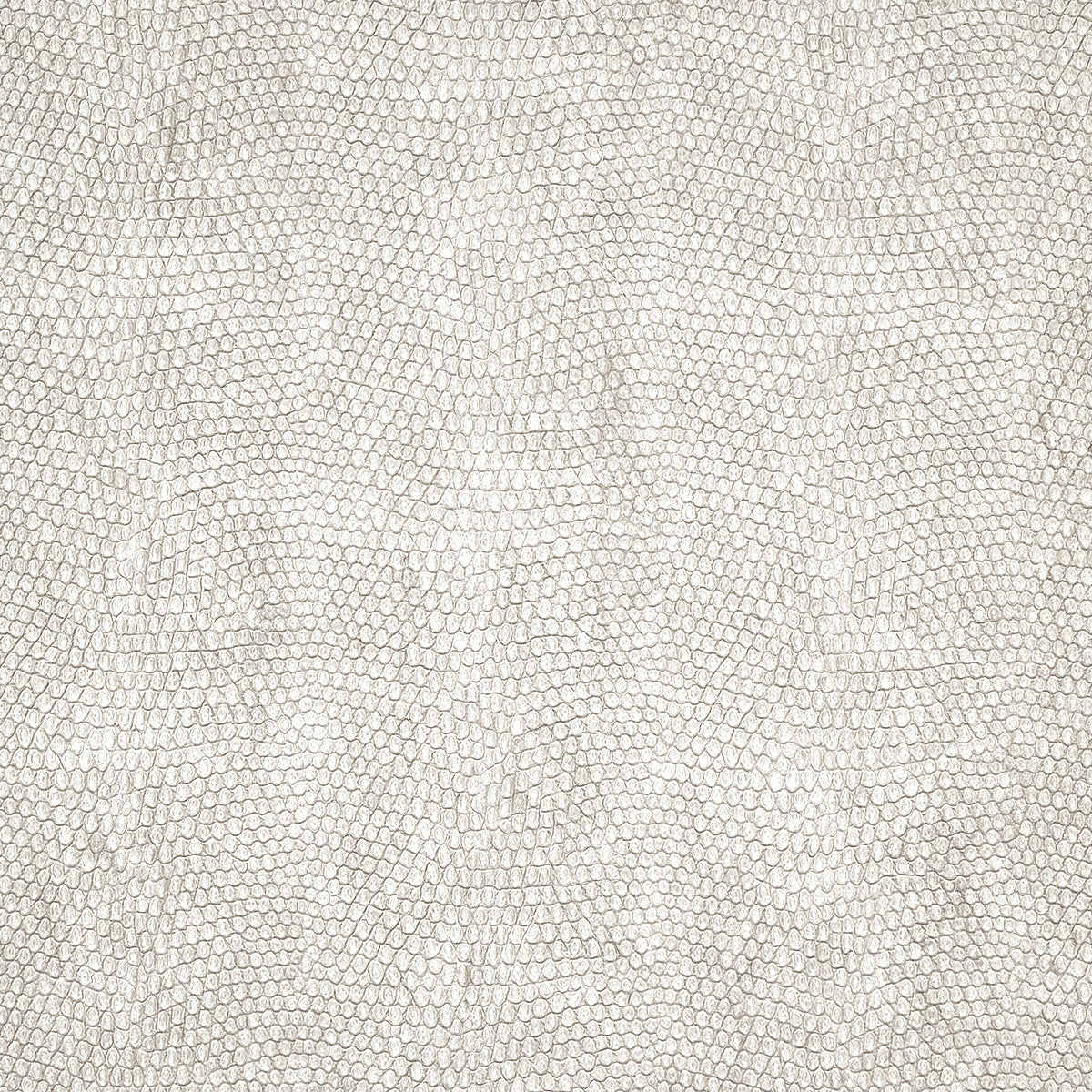 Purchase Phillip Jeffries Wallpaper - 10247, Vinyl Snakeskin - White Fang 