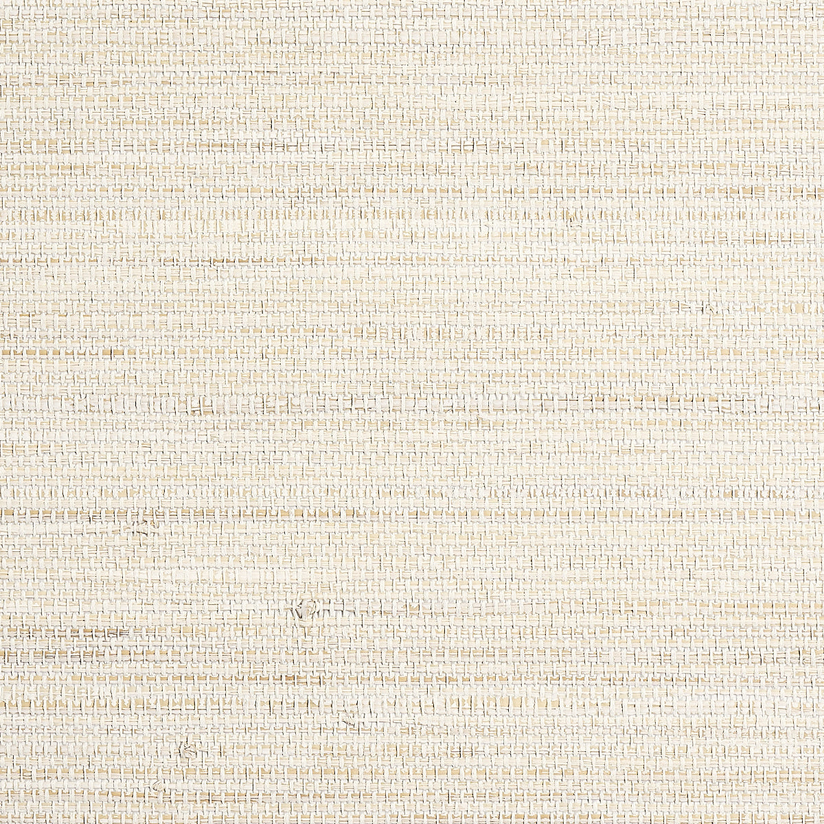 Purchase Phillip Jeffries Wallpaper - 9969, Coastline Grass - Sandbar White 