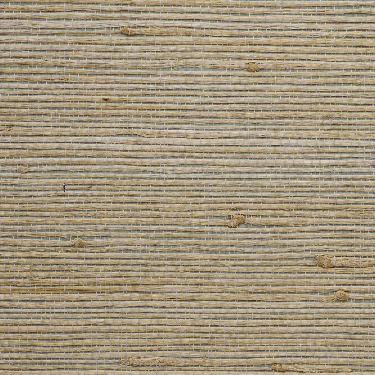 Purchase 4761 Juicy Jute II Calm Water Phillip Jeffries