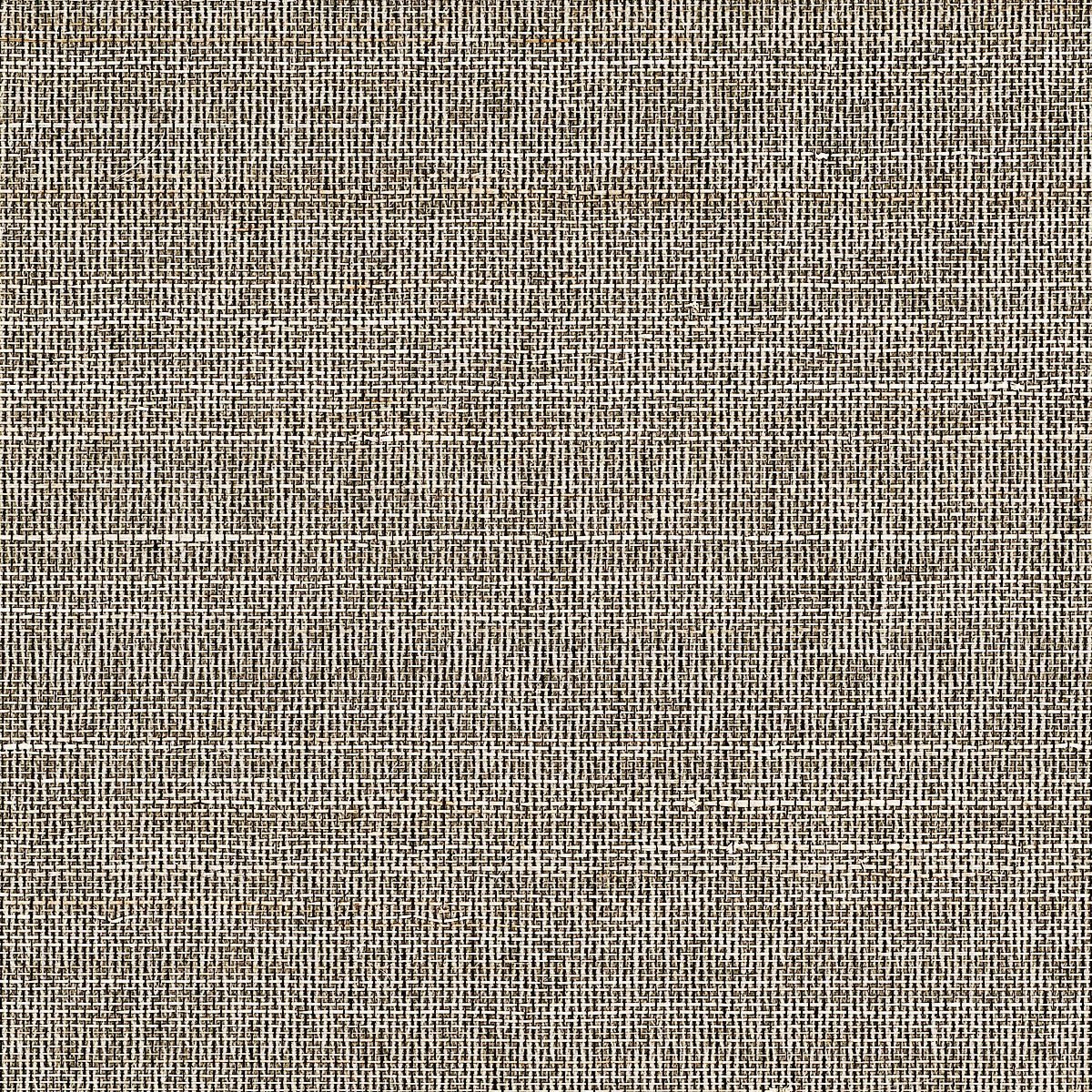 Purchase Phillip Jeffries Wallpaper - 10768, Horsehair - Moonbeam 