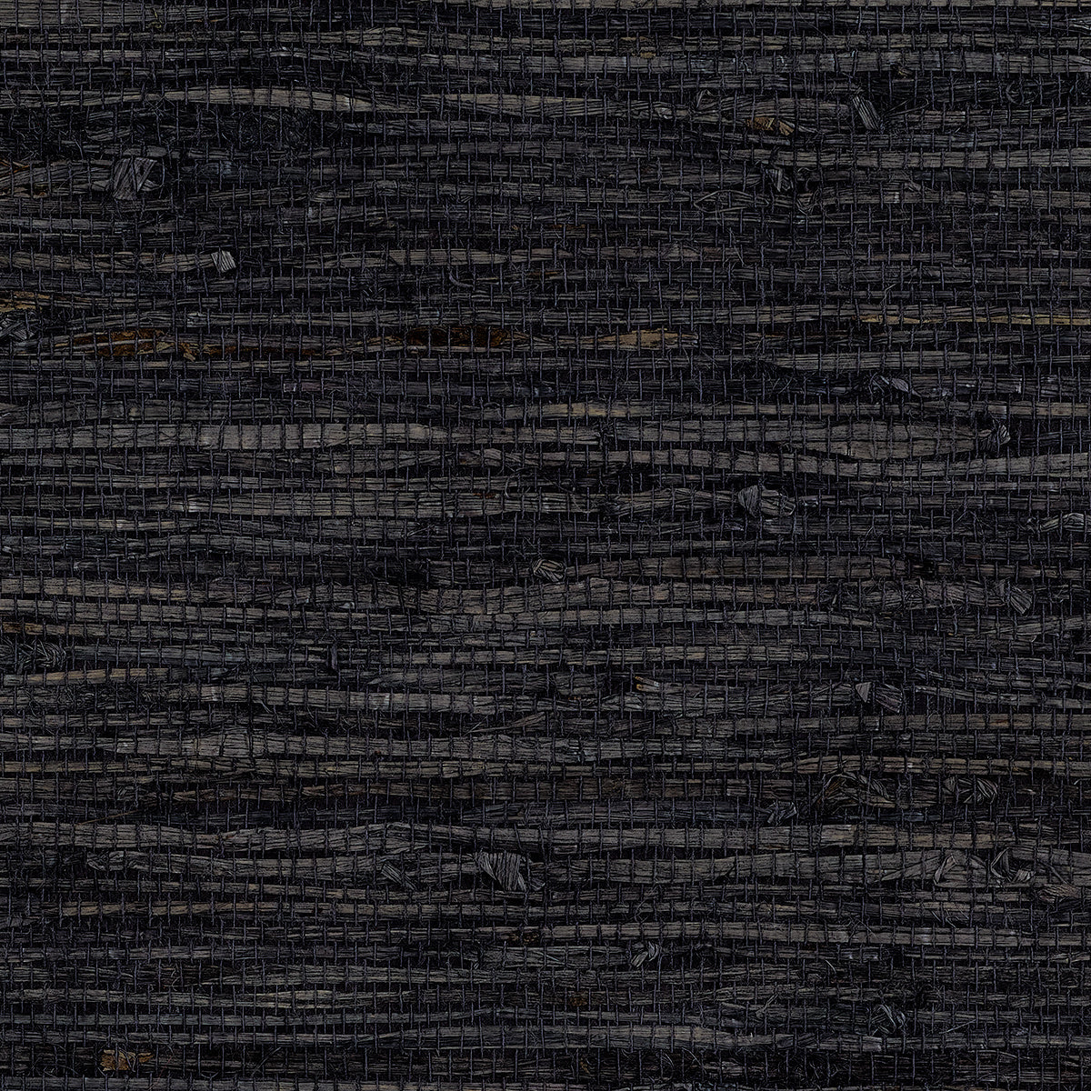 Purchase Phillip Jeffries Wallpaper - 10806, Extra Fine Arrowroot - Onyx 
