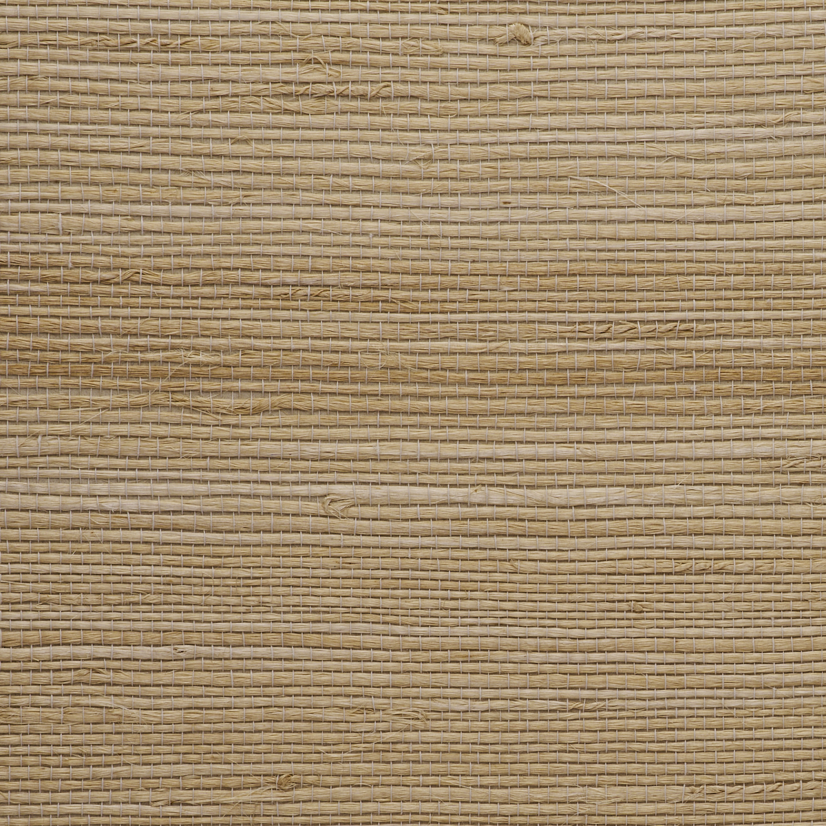 Purchase 4769 Juicy Jute II Hay Bale Phillip Jeffries