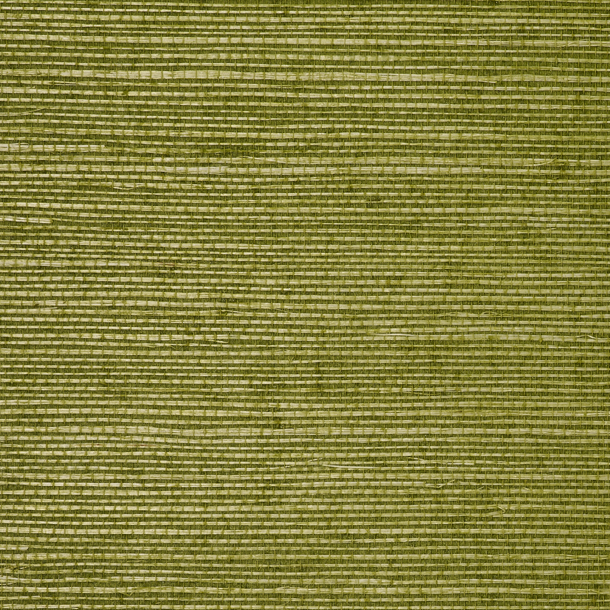 Purchase 5268 Manila Hemp Grass Green Phillip Jeffries Wallpaper