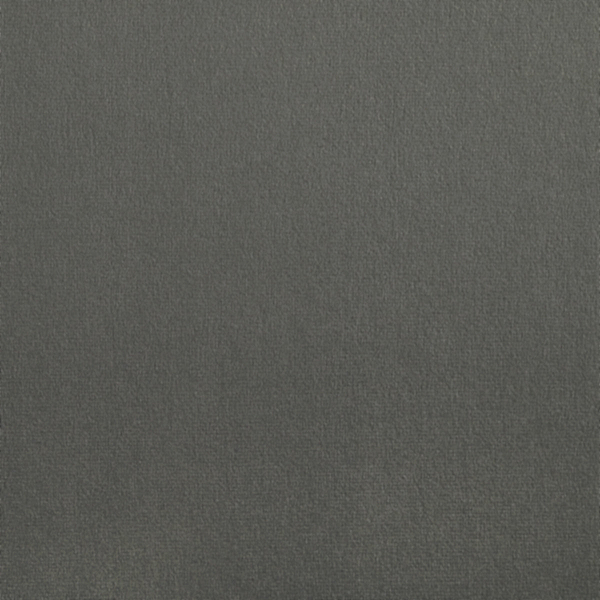 Purchase 4044 Velvet Cocoon Yummy Grey Phillip Jeffries Wallpaper