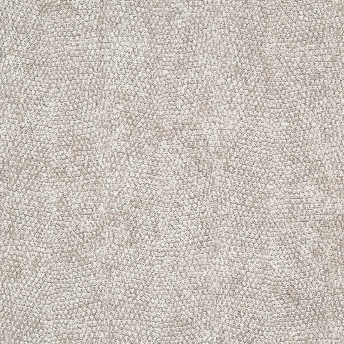 Purchase Phillip Jeffries Wallpaper - 10249, Vinyl Snakeskin - Tan Taipan 