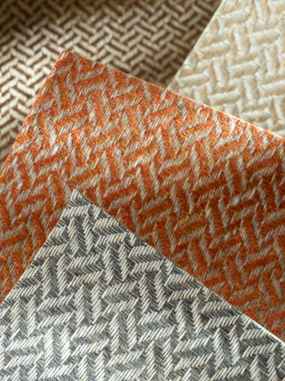 Purchase 6119 Suit Yourself Ascot Orange Phillip Jeffries Wallpaper 1