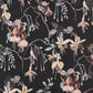 Purchase Phillip Jeffries Wallpaper - 9832, Blushing Blooms - Black Bouquet 