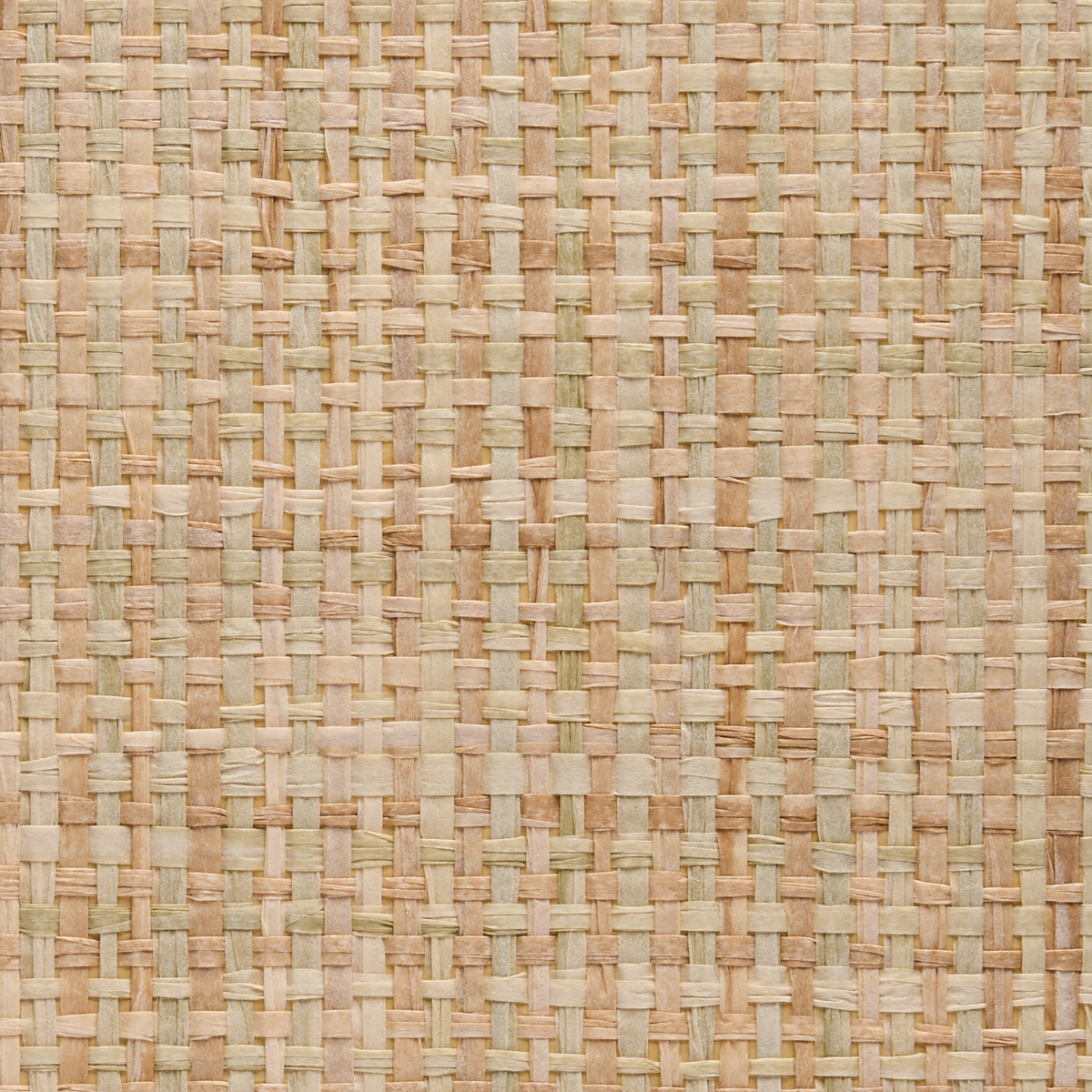 Purchase 1698 Driftwood Sage/Camel Phillip Jeffries Wallpaper