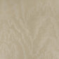 Purchase Phillip Jeffries Wallpaper - 25110, Vinyl Grand Moire - Café 