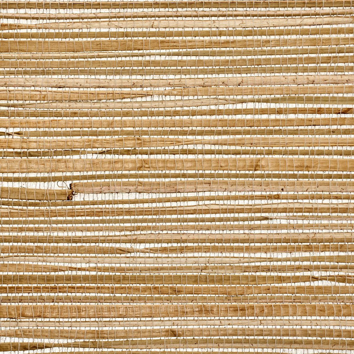 Purchase 9145 Grass Roots Pick Up Sticks Phillip Jeffries Wallpaper