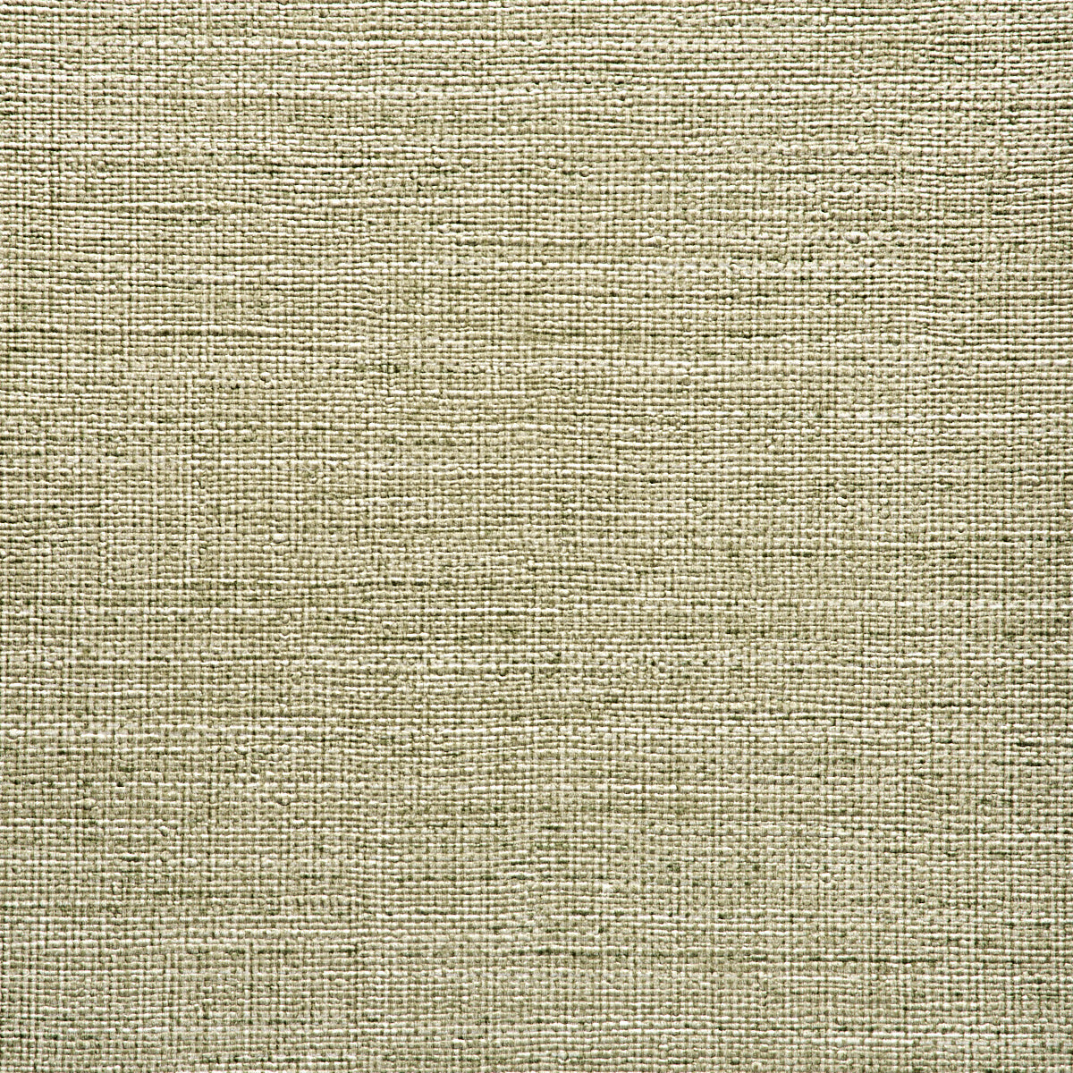 Purchase Phillip Jeffries Wallpaper - 9901, Vinyl Abaca - Sage Leaf 
