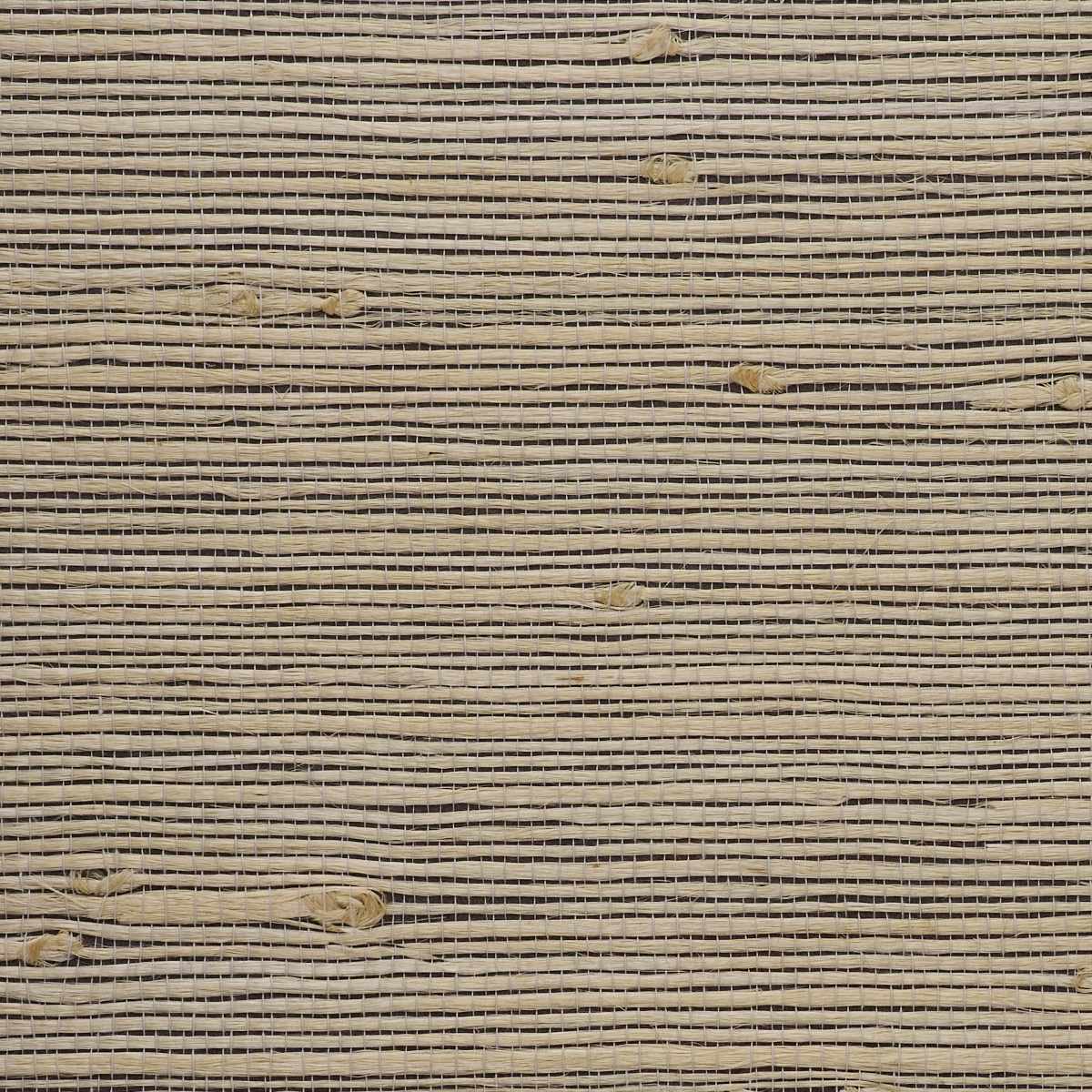 Purchase 4764 Juicy Jute II Sparrow Phillip Jeffries
